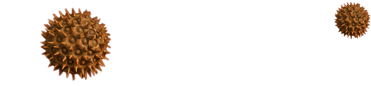 top_hero_bg_3 (1)